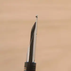 S9c2a953257e4436881a65319cab16e0fF