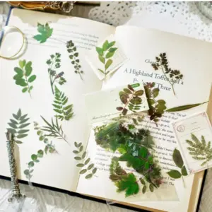 Sa4c0d9c894dc4e95b863cbc637c7f9de4