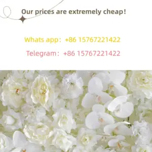 Sa89558d2aed74d088f8fd38cd8c367b7s 4