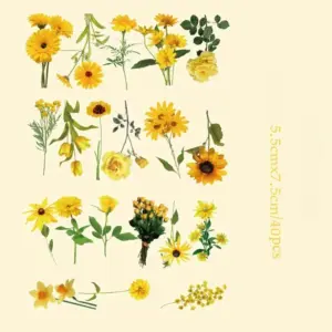 Sab24c51223cd4d69a6c952cbc2da7ff3z