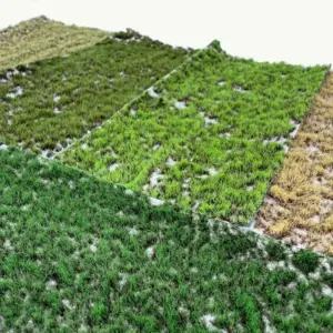 Sab3acf3d80ff49ac8f439edf776b99f17