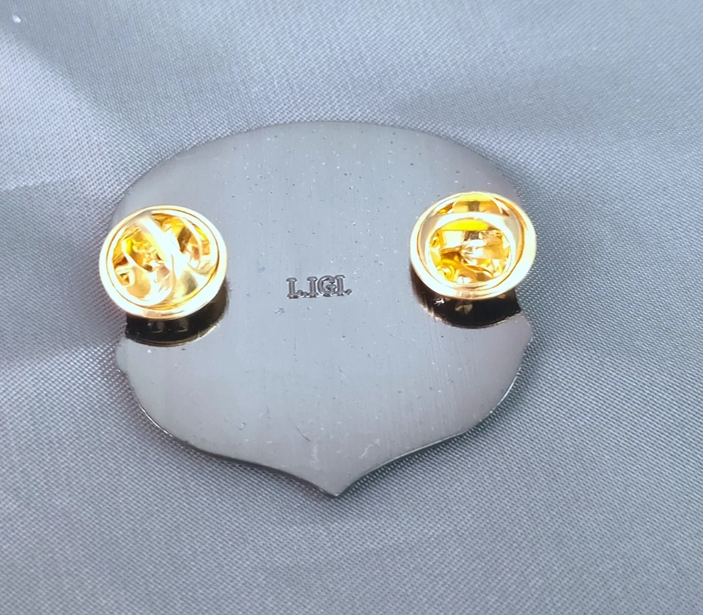 USAF Pararescue Badge Collectible Insignia 2 USAF Pararescue Badge Collectible Insignia - Image 2