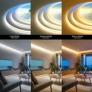 Sbb3a2d47c04243c3a354c769192da58a8