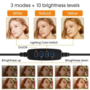 Sbbc6809e1f1c4a5ebee97bc0cdf9fcf40