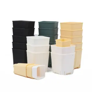 Sbf50f05765934e5dba29a8af5d96319ep