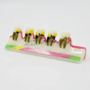 Sc475e63e8ee643ac87e8105b4f340bbaf