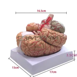 Sc8994062d2bc49fdb42bc1e0b38d3327b