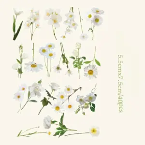 Scfb51be4aa794dbbae69d390693bb050n