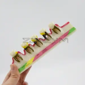 Sdbe6d7a00e0949a5bdcc286fec2b86d3w