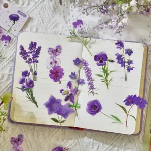 Se08d003256794edc9cbf464d4bca46e1G