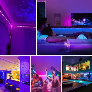 Sedd1a6e4dc364e0d9dd83cbe3849c252K