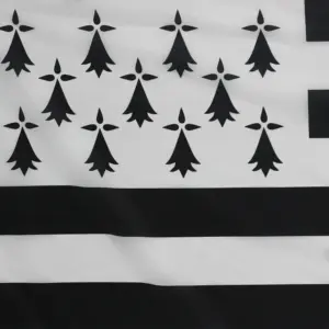 Sf81ebb8ce525424b8a1e49291eec0d75h