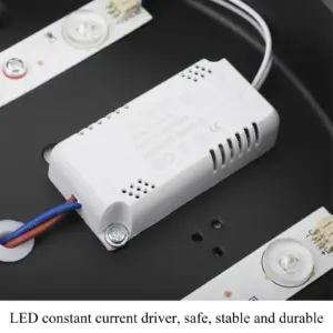 Sf8f82ef99800448aada9091d84620775a 1