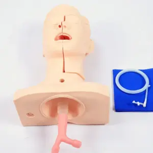 Sfaa33bbf80844d53b26d595cce11d9dfC