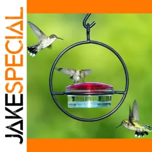 Elegant Circular Hummingbird Feeder for Garden