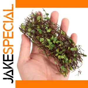 Realistic Scale Model Vine for HO & N Scale Scenes