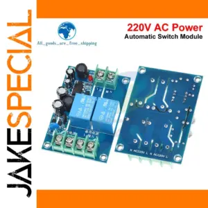 Dual-Input 220V 10A Power Switch Module