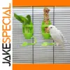 Bright Green Small Bird Cage Feeder