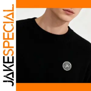 Stainless Steel Wheel of Hecate Brooch