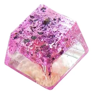 S00ea833e1d16485dabd0f947ecfd421fN