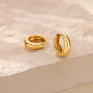 Gold Stainless Steel Geometric Earrings 14 S016f067c15de469181727d4815c3053dy