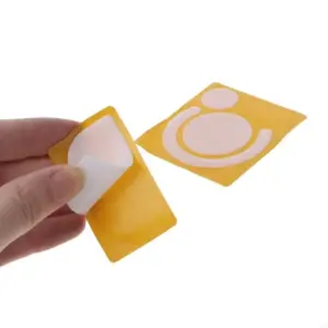 S156d8a6fa35342968986e307062450315