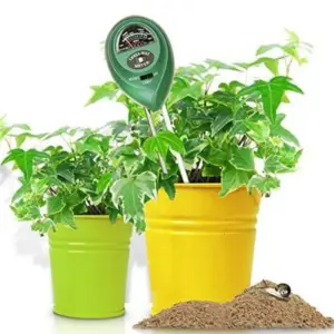 S1d2b2876c00c4a868191ab901435d0564