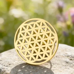 Stainless Steel Flower of Life Brooch (20x20 mm) 15 S79881ab814304ca1989a48b4d90ab6f4Q