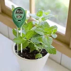 S8a7707c20e954f16a3ba13d502a301f7A