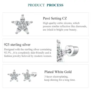 Sa63368045721418295fe82ccd56b287ew