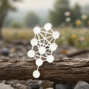 Sb5248e141fca4b0b869640752f40a0436