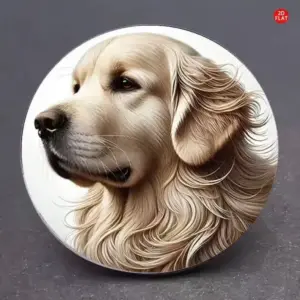 Sc0013c080682448895b24ecbb194d18b2