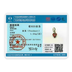 Silver Dragon Heart Charm for Bracelets 11 Sc5070a52554b482188f42cf3158f73d3J