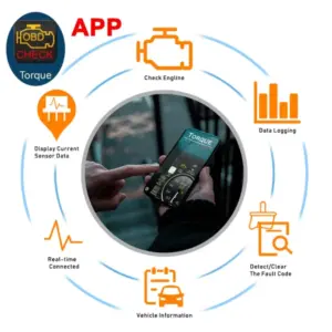 Sd6c659a75a014154ab02ea4a2a0c9b411