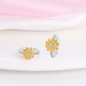 Sf1f1cbd34f034a6faa23403b349f44725