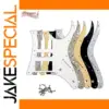 RG2550Z Pickguard in Multiple Colors