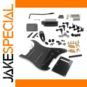 DIY ST Style Guitar Kit with Silver & Black Finish