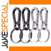 Metal Carabiner Keychains Set of Four