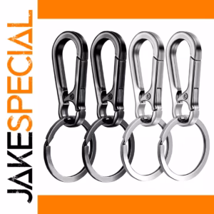 Metal Carabiner Keychains Set of Four
