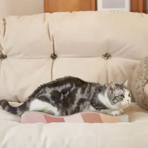 A0a376ae720a24abb8a529c8c99f9ed240