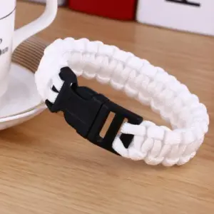 HTB1LZJ4jyQnBKNjSZFmq6AApVXao