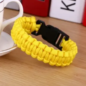 HTB1US9TAeSSBuNjy0Flq6zBpVXaT