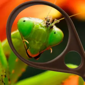 60mm Handheld Magnifier with Leather Case 7 Hb0a639a9d4ef4acdb607a9949115b4d94