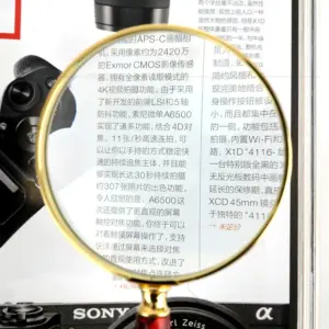 Gold-Plated Jade Handle Magnifier with LED 10 Hc707123f490540f3944f73cf212f7cf10