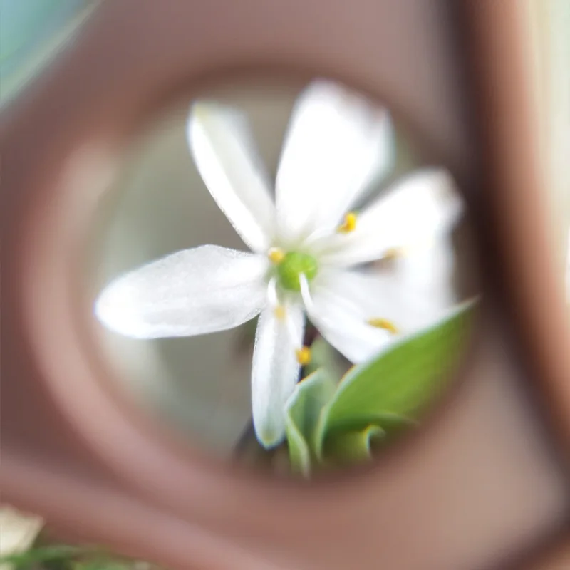 60mm Handheld Magnifier with Leather Case 3 60mm Handheld Magnifier with Leather Case - Image 3