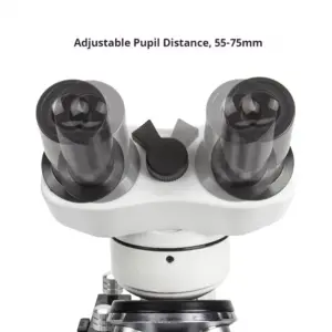 S098ff6316a064ec08f38a4e013eeab49l