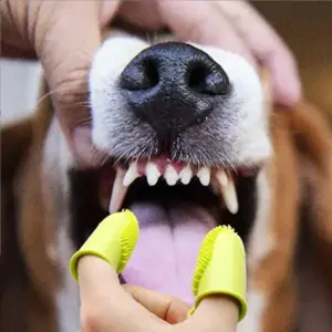 S09ca1ab269c8408b90c7d4171e93f89aV