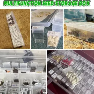 Transparent Seed Storage Box with Compartments 14 S0f47ed24ec7d4b5da58a79e441ddc93aM