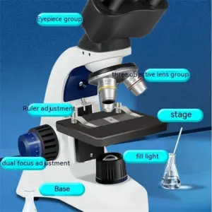 S102fee9c7c09485f920fa52f65deff6dg