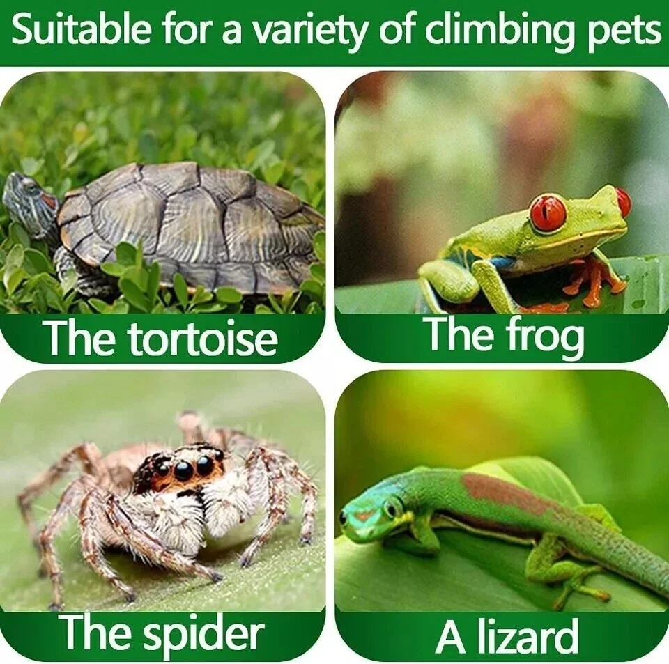 Reptile UVA+UVB 3.0 Basking Lamp 75W 5 Reptile UVA+UVB 3.0 Basking Lamp 75W - Image 5